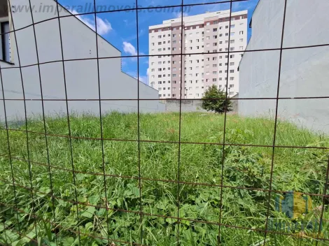 imagem 3 - Terreno plano 250 m² rua publica Villa Branca Jacareí SP imagem 3 - Terreno plano 250 m² rua publica Villa Branca Jacareí SP